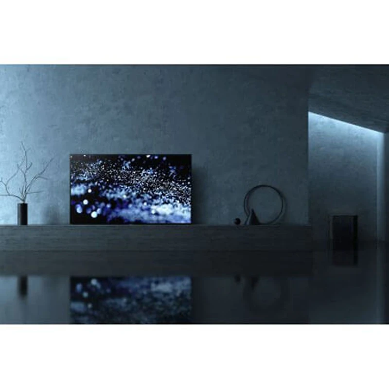 OLED 55 inch 4K TV - Smart - HDR - A1E OPEN BOX