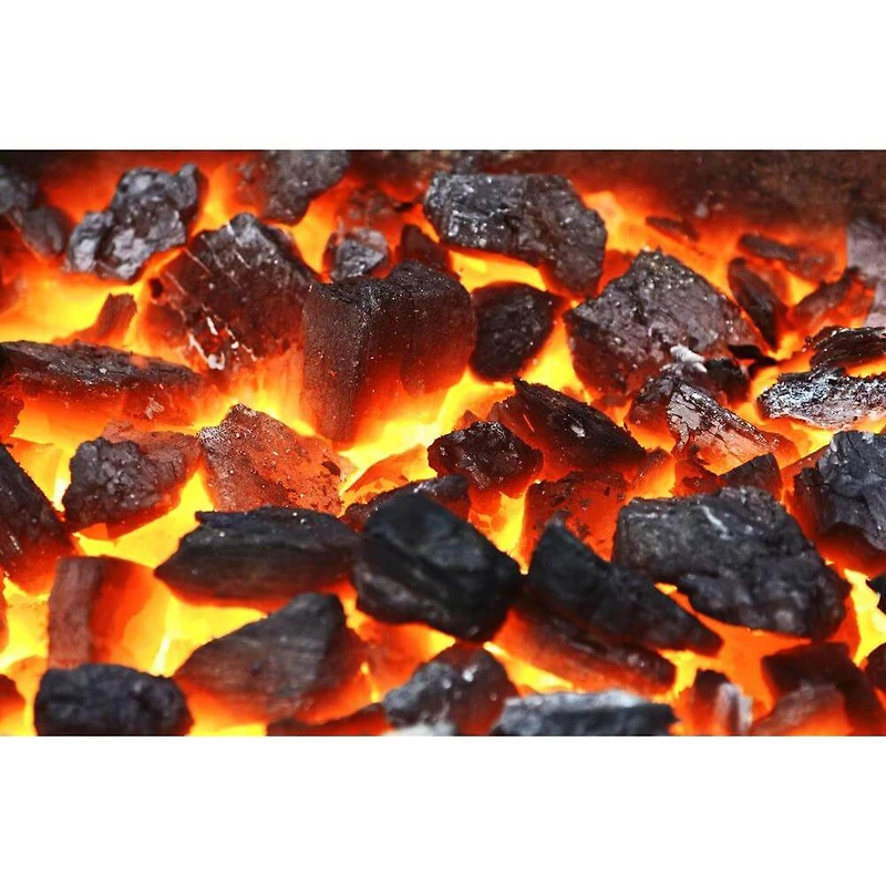 20 lb. Bag 100% Natural Oak Lump Charcoal - OPEN BOX