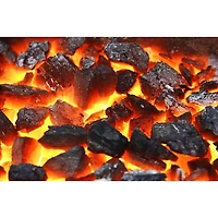 20 lb. Bag 100% Natural Oak Lump Charcoal - OPEN BOX