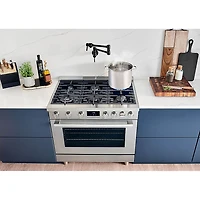 3.5 Cu. Ft. Stainless Freestanding Gas Convection Range