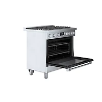 3.5 Cu. Ft. Stainless Freestanding Gas Convection Range