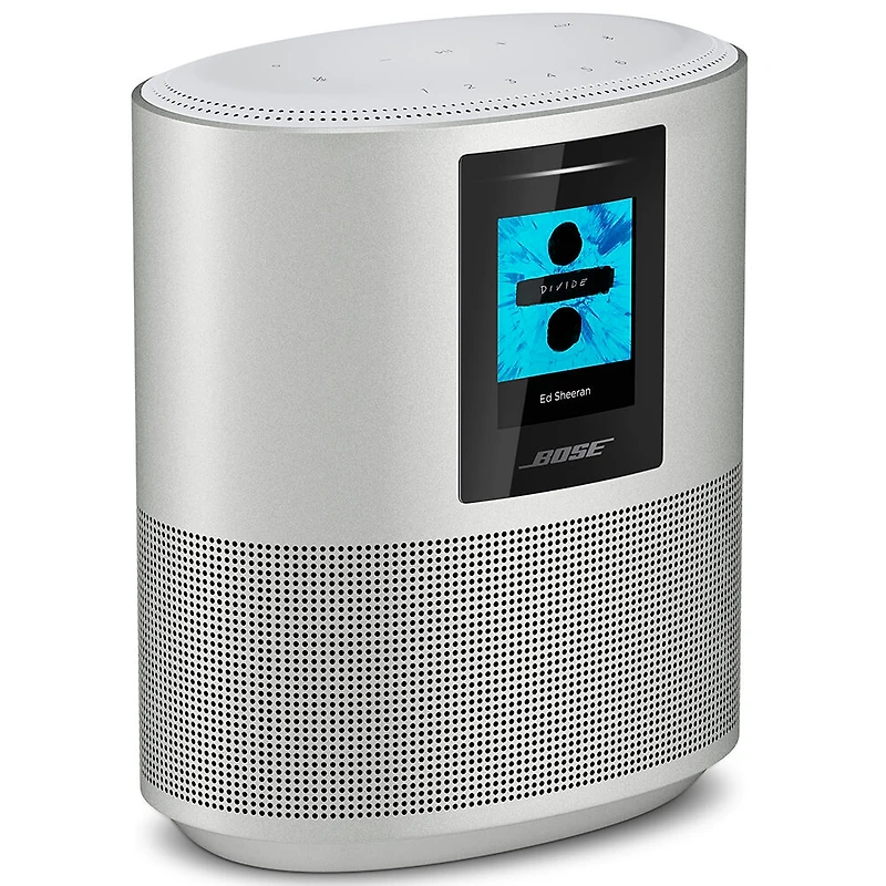 Home Speaker 500 - Silver - OPEN BOX