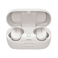 QuietComfort Earbuds - Soapstone - OPEN BOX