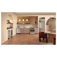 30 inch Stainless Smart Induction and Convection Range with In-Oven Camera