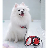 Retractable Medium Leash Package - Red