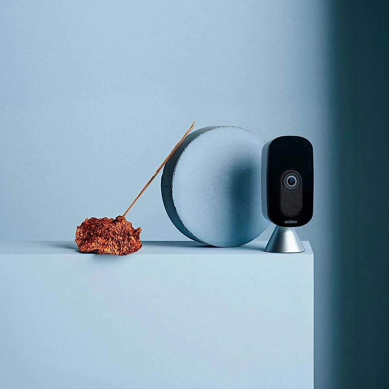 SmartCamera With Voice Control