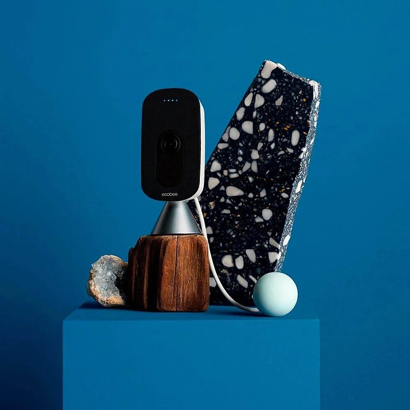 SmartCamera With Voice Control