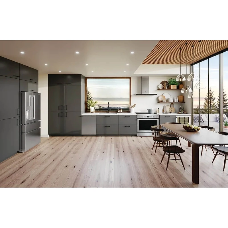 30 inch Stainless Induction Freestanding Range