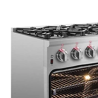36 inch Cossato Stainless Duel Fuel Electric Gas Range