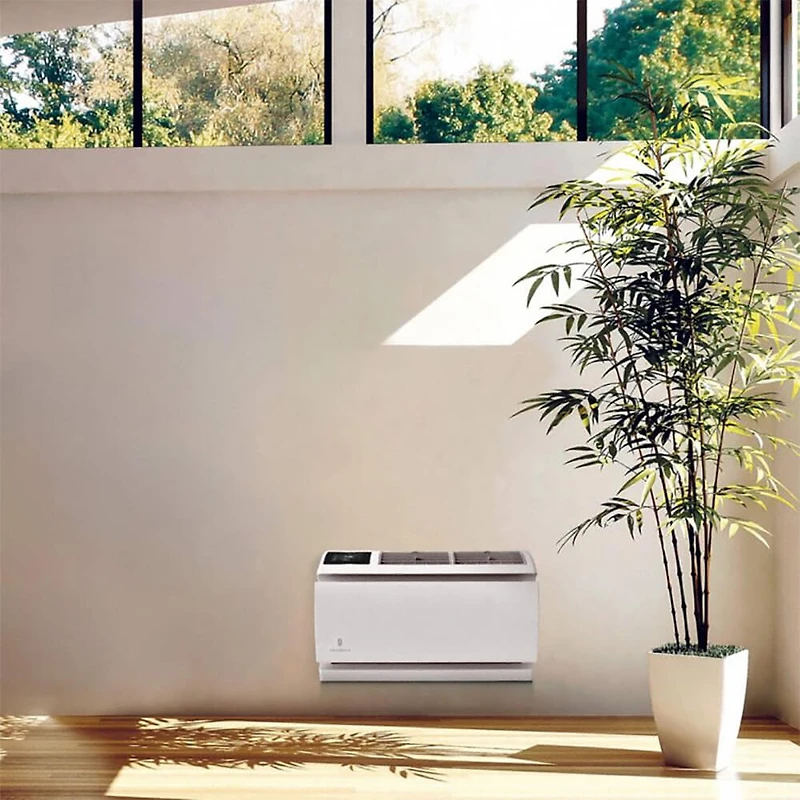 Commercial Grade Through-the-Wall Air Conditioner