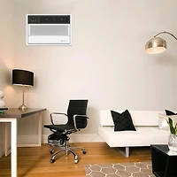 8000 BTU Thru-the-Wall Air Conditioner with Heater