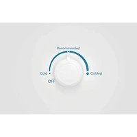 20 Cu. Ft. White Upright Freezer