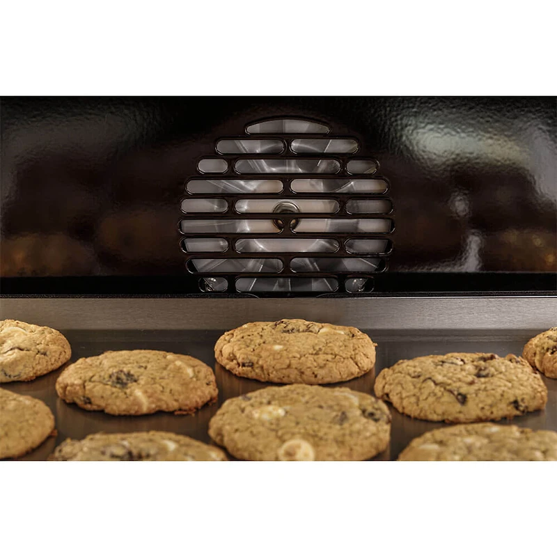 30 inch Stainless Smart Built-In Twin Flex Convection Wall Oven