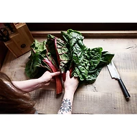 Chikara 8 Piece Japanese Steel Knife Set - OPEN BOX