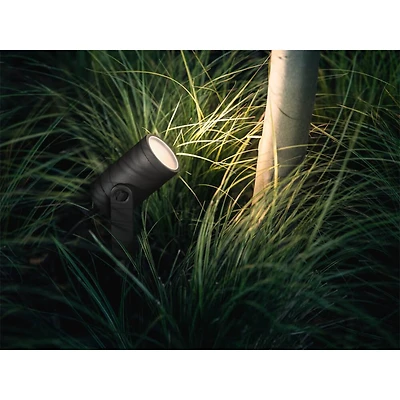 Lily LED Mulit-Color and White Outdoor Smart Lights - 3 Pack