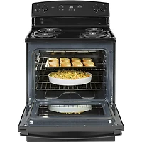 5.0 Cu. Ft. Black Free-Standing Electric Range