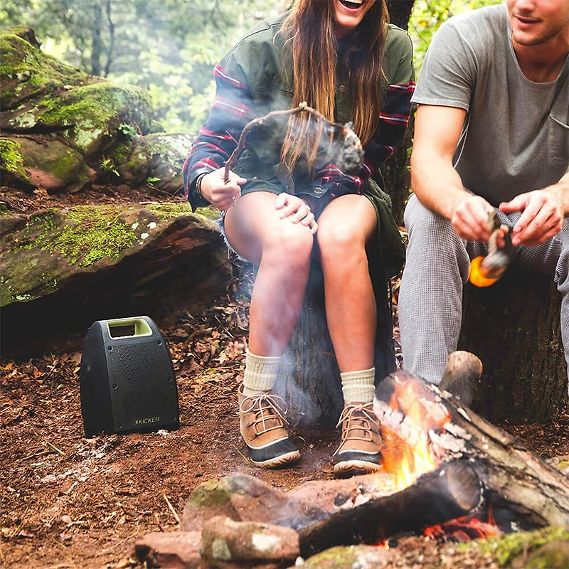 Bullfrog BF400 Bluetooth Music System - Black - OPEN BOX