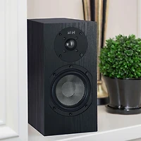 Albany II 2-Way Bookshelf Speakers (Pair) - Black Oak