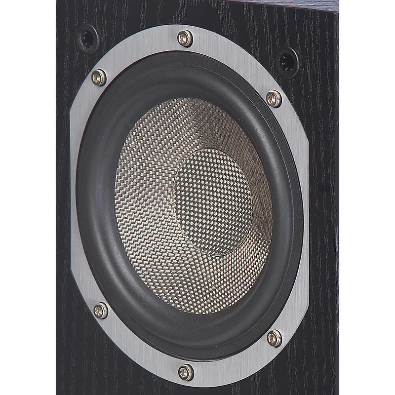 Beacon Surround Speaker (Pair
