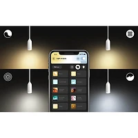 Enchant Pendant - OPEN BOX