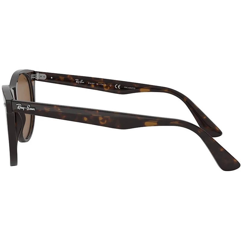 Wayfarer II Tortoise B-15 Brown Crystal Polarized