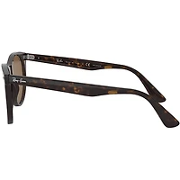 Wayfarer II Tortoise B-15 Brown Crystal Polarized