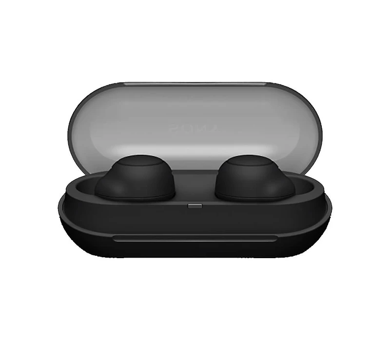 WF-C500 True Wireless In-Ear Headphones - Black