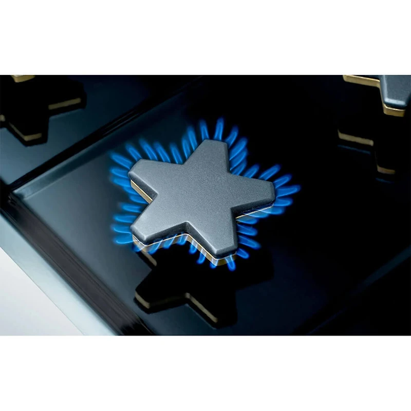 10.6 Cu. Ft. Stainless Pro Grand® Dual Fuel Professional Range