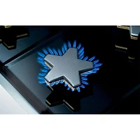 10.6 Cu. Ft. Stainless Pro Grand® Dual Fuel Professional Range