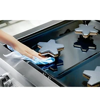 10.6 Cu. Ft. Stainless Pro Grand® Dual Fuel Professional Range