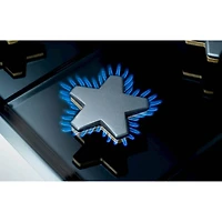 4.4 Cu. Ft. Professional Series Freestanding Gas Convection Oven