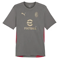Men's Puma  Gray AC Milan 2024/25 Training Jersey