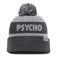 Men's Nike Anthracite/Gray Air Force Falcons Rivalry Peak Stripe Beanie