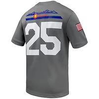 Men's Nike #25 Gray Air Force Falcons APLS Fighting Falcon Collection Football Game Jersey