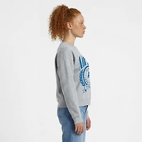 Women's Champion  Heather Gray Air Force Falcons Academic Crest Powerblend Crewneck Sweatshirt