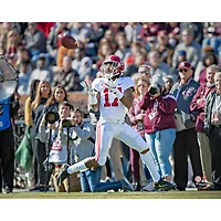 Photographie non signée de Jaylen Waddle, Alabama Crimson Tide, prise vue en profondeur