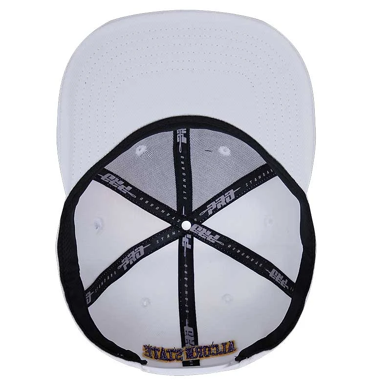 Men's Pro Standard White Alcorn State Braves Arch Over Wool Snapback Hat