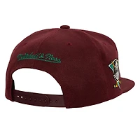 Men's Mitchell & Ness Purple Anaheim Ducks Retro Script Colorblock Snapback Hat