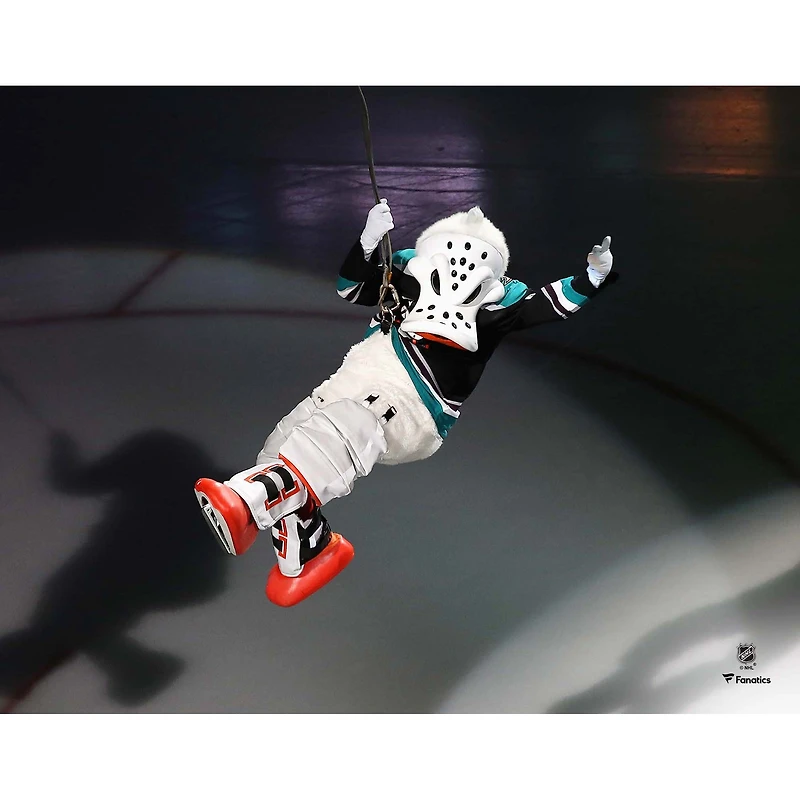 Photographie non signée de l'entrée la descente en rappel avant le match des Wild Thing Anaheim Ducks