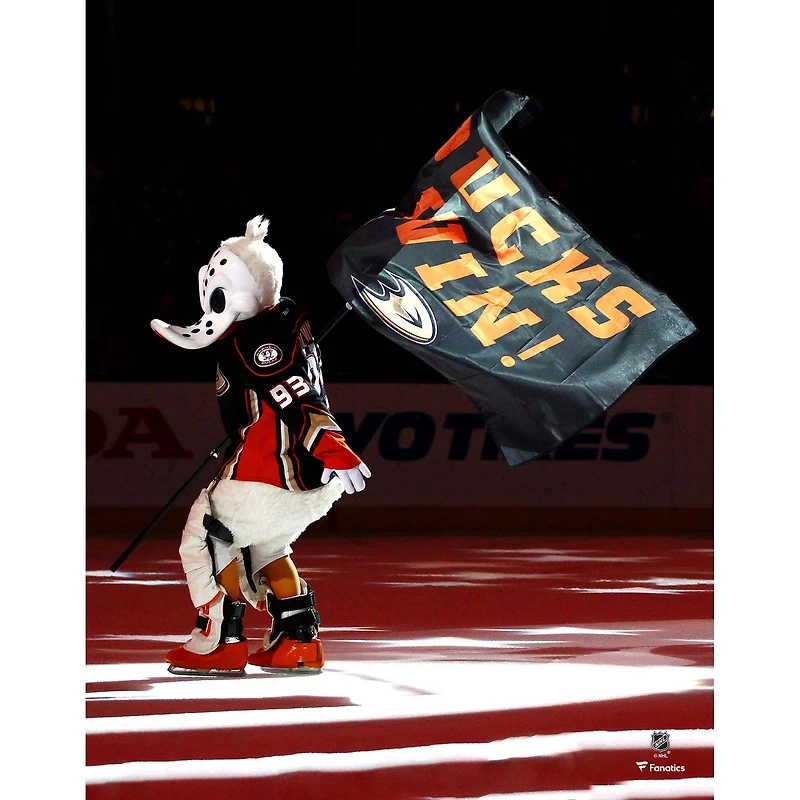 Photographie non signée du drapeau flottant des Ducks d'Anaheim de Wild Thing