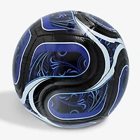 Ballon de football adidas de l'équipe nationale d'Argentine pour la Coupe du Monde de la FIFA 2026, Fédération de football des équipes