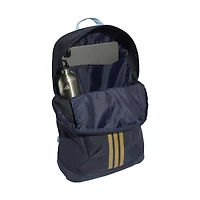 adidas Argentina National Team FIFA x World Cup Team Backpack