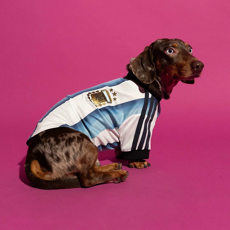 Maillot blanc adidas de l'équipe nationale d'Argentine pour animaux compagnie