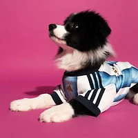 adidas White Argentina National Team Pet Jersey