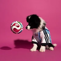 Maillot blanc adidas de l'équipe nationale d'Argentine pour animaux compagnie