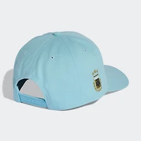 Unisex adidas  Light Blue Argentina National Team Snapback Hat