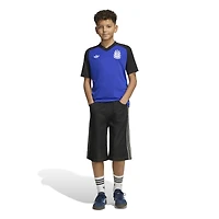 Youth adidas Blue Argentina National Team 2026 Pre-Match Top