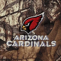 Sweat à capuche en polaire technique Dunbrooke Realtree Camo Arizona Cardinals Circle Champion pour homme