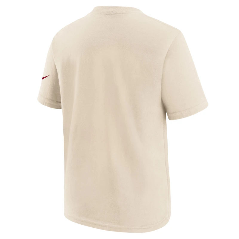 Youth Nike Natural Arizona Cardinals 2025 Rivalries Collection T-Shirt