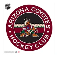 Arizona Coyotes - 36'' x 36'' Team Repositional Stripe Design Vinyl Wall Decal